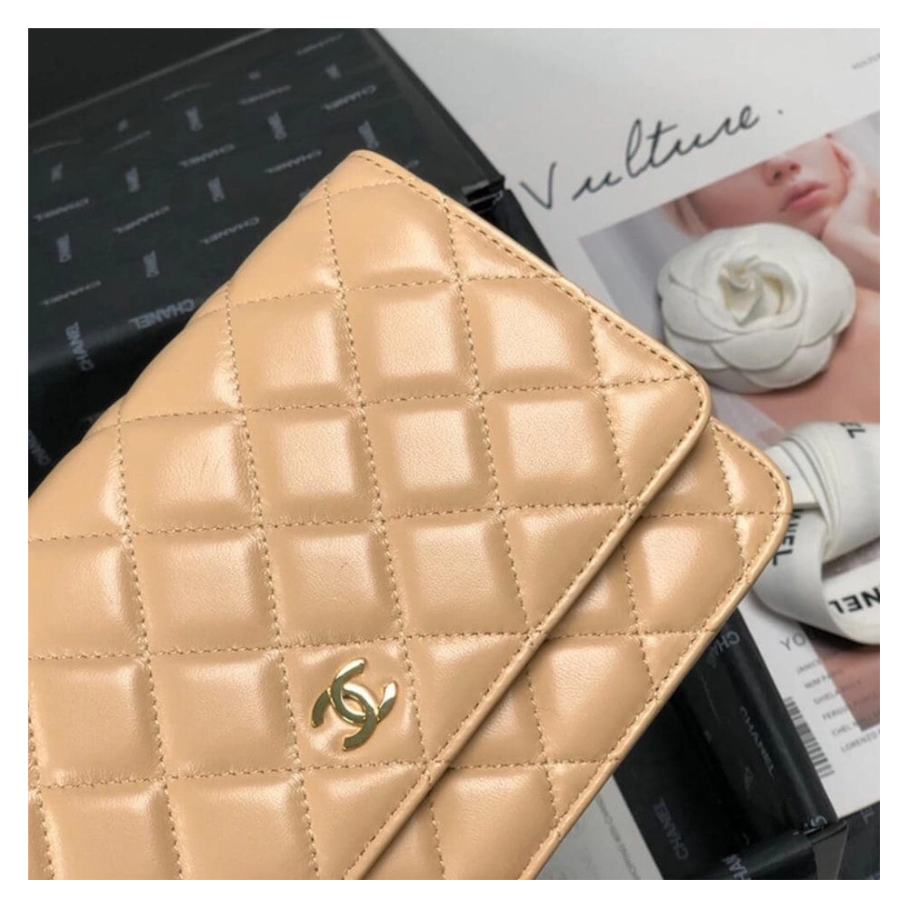 CHANEL WALLET ON CHAIN AP3054,CHANEL,BAGS