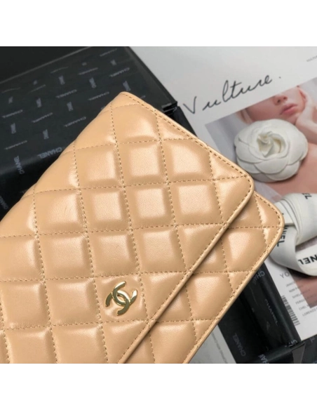 CHANEL WALLET ON CHAIN AP3054,CHANEL,BAGS