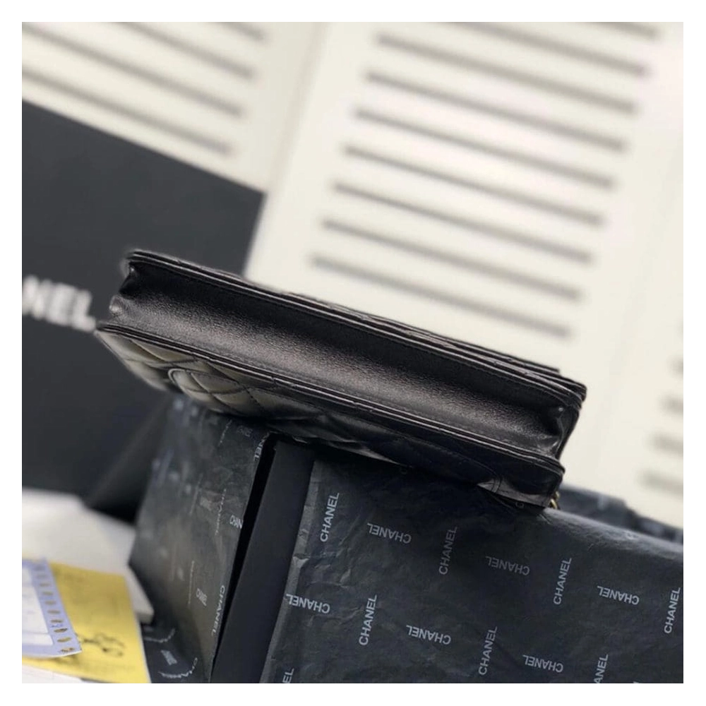 CHANEL WALLET ON CHAIN AP3054,CHANEL,BAGS