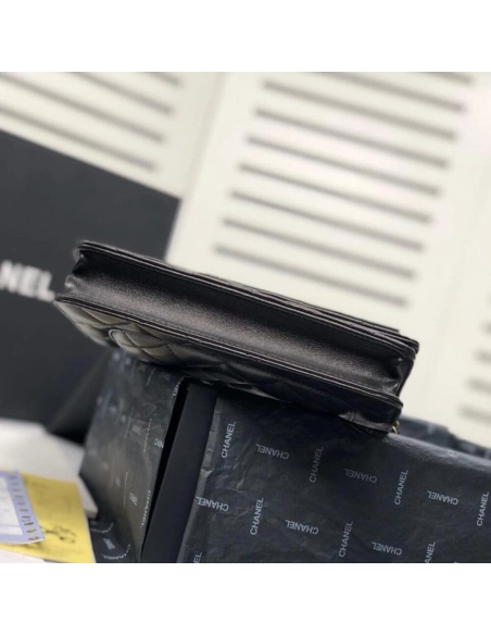 CHANEL WALLET ON CHAIN AP3054,CHANEL,BAGS