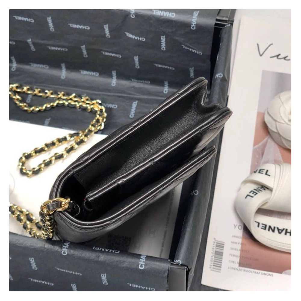 CHANEL WALLET ON CHAIN AP3054,CHANEL,BAGS