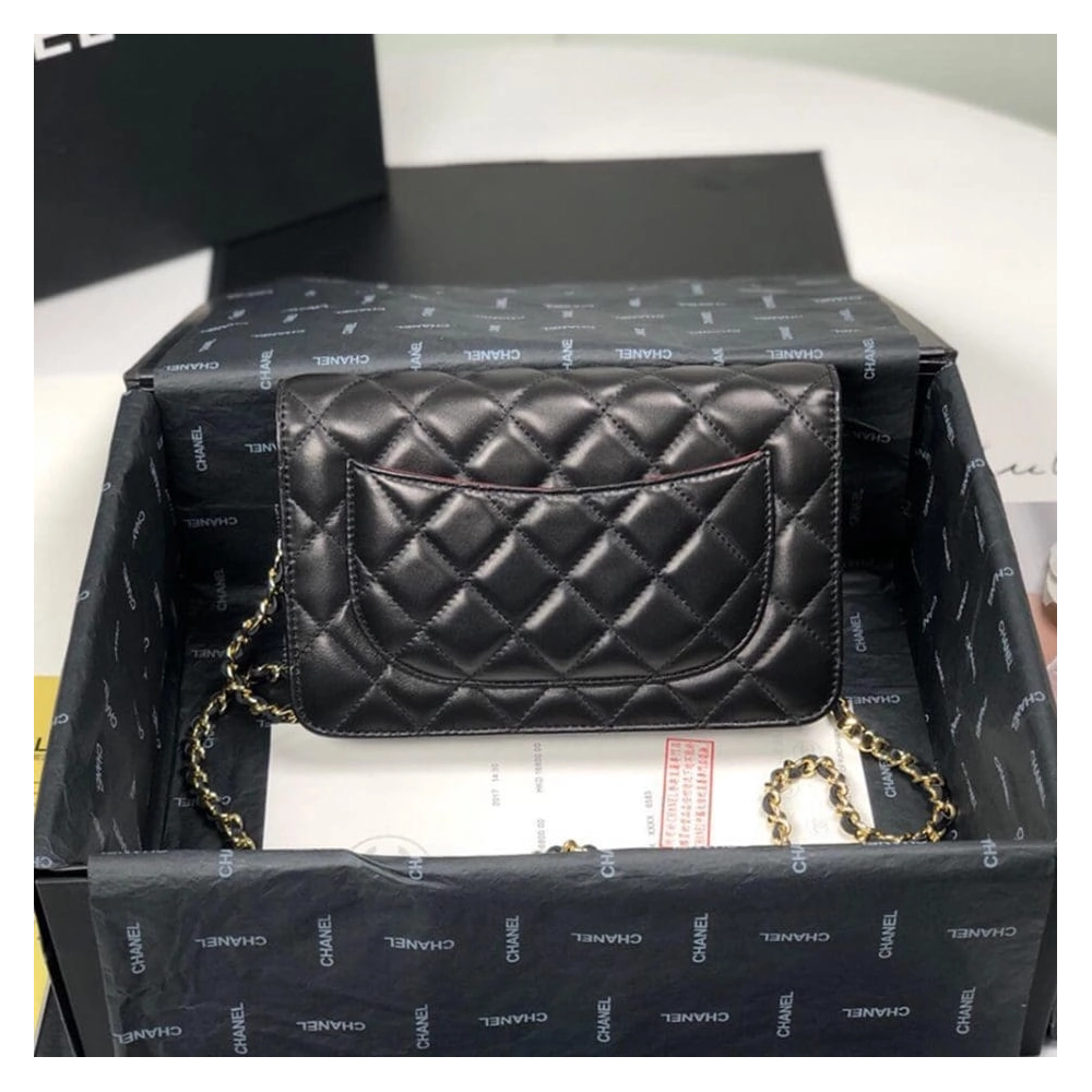 CHANEL WALLET ON CHAIN AP3054,CHANEL,BAGS