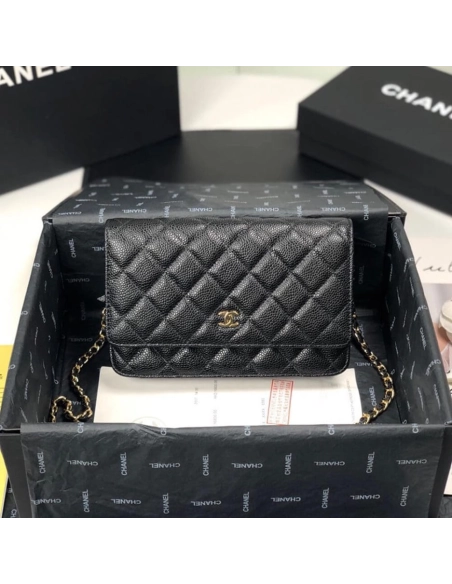 CHANEL WALLET ON CHAIN AP3054,CHANEL,BAGS