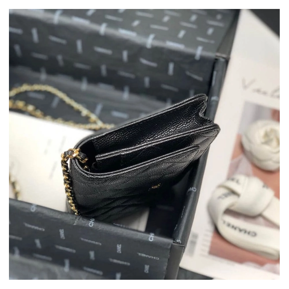 CHANEL WALLET ON CHAIN AP3054,CHANEL,BAGS