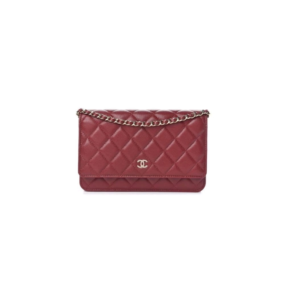 CHANEL WALLET ON CHAIN AP3054,CHANEL,BAGS