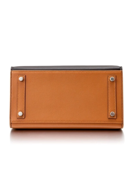 Hermes Birkin 20 Sellier Faubourg Bag,Hermes,BAGS