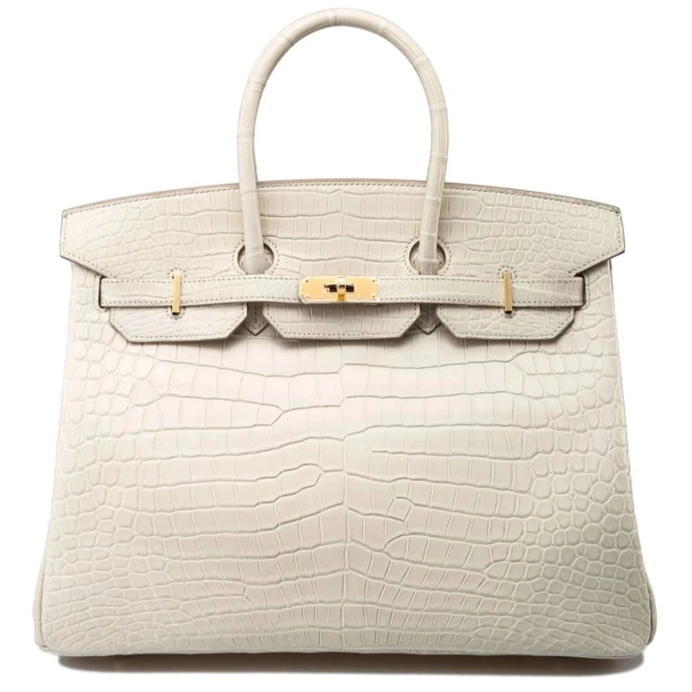 Hermes Birkin 25 Alligator Beton Gold Hardware Matte,Hermes,BAGS