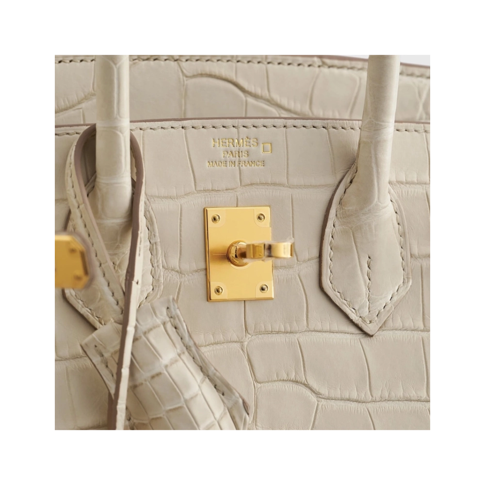 Hermes Birkin 25 Alligator Beton Gold Hardware Matte,Hermes,BAGS