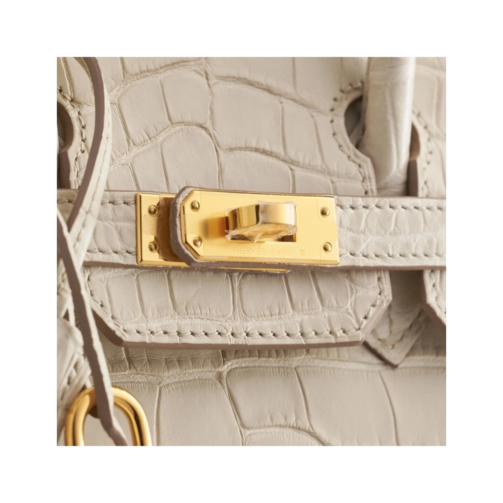 Hermes Birkin 25 Alligator Beton Gold Hardware Matte,Hermes,BAGS