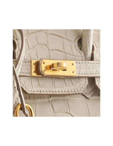 Hermes Birkin 25 Alligator Beton Gold Hardware Matte,Hermes,BAGS
