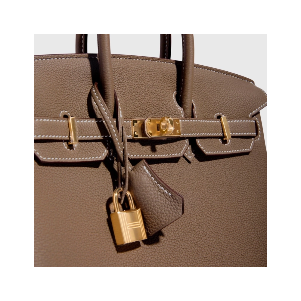 Hermes Birkin 25 Togo Etoupe Retourne Gold Hardware,Hermes,BAGS