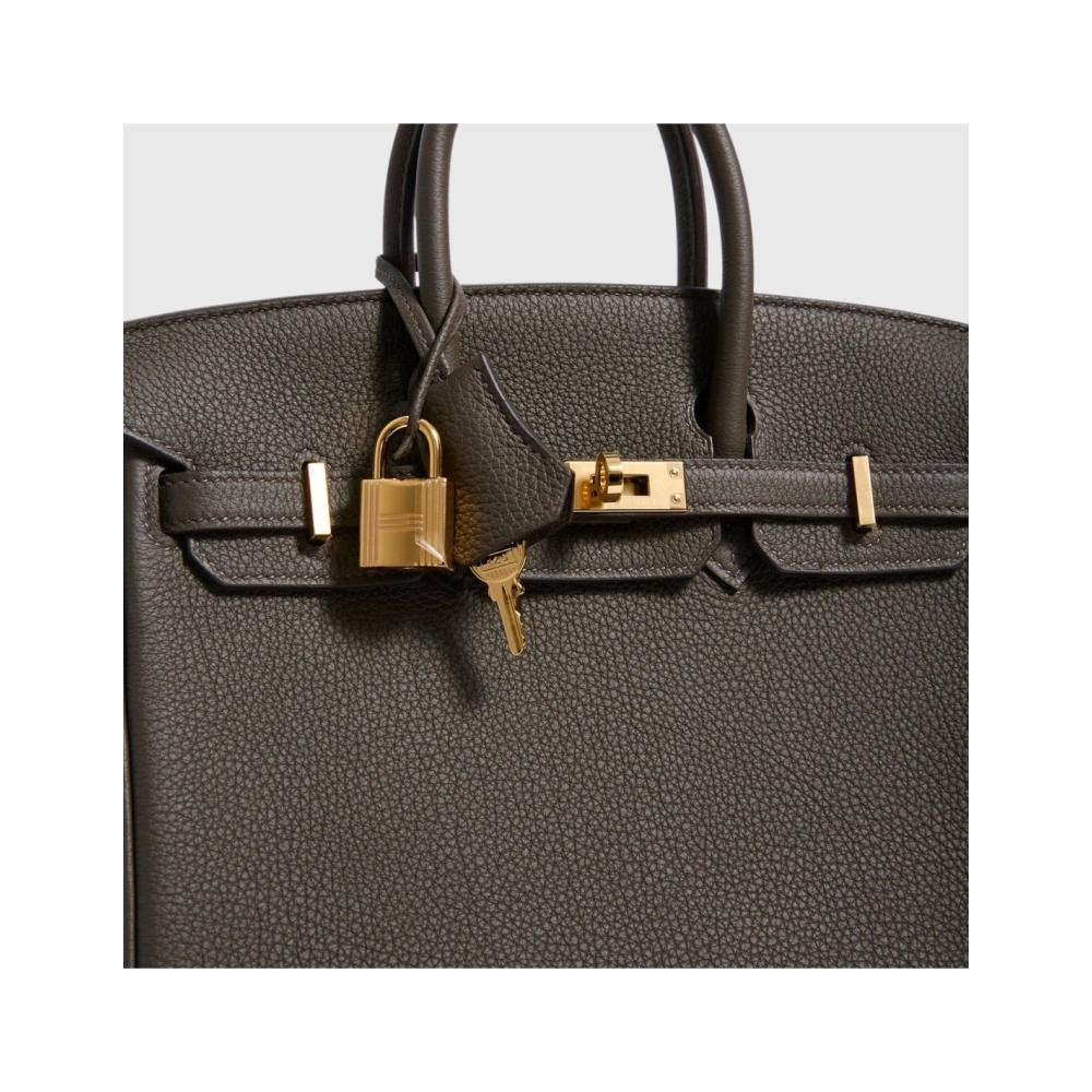 Hermes Birkin 25 Togo Eucalyptus Gold Hardware,Hermes,BAGS