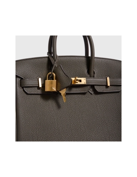 Hermes Birkin 25 Togo Eucalyptus Gold Hardware,Hermes,BAGS