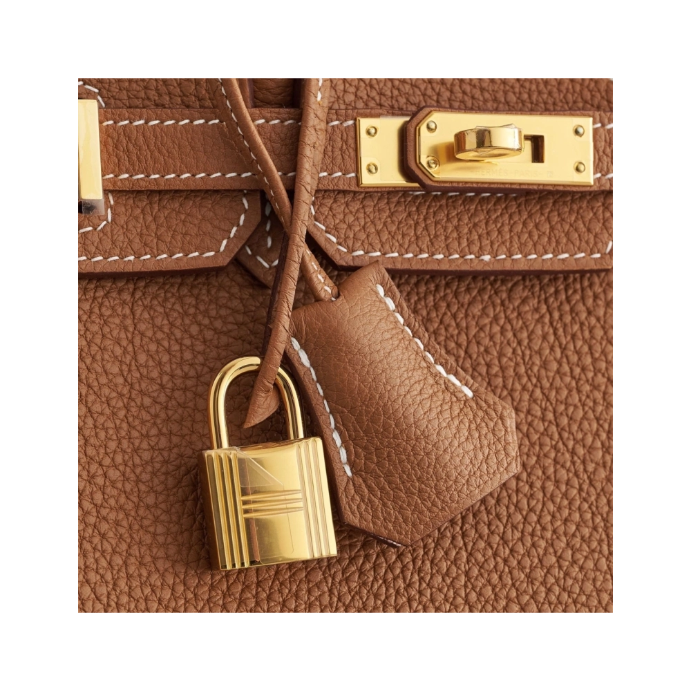 Hermes Birkin 25 Togo Gold Retourne Gold Hardware,Hermes,BAGS