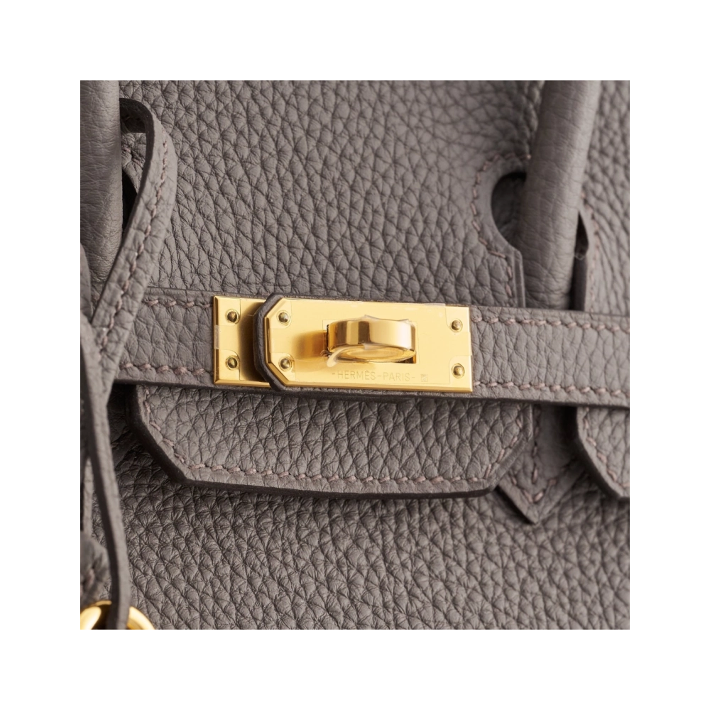Hermes Birkin 25 Togo Gris Etain Gold Hardware,Hermes,BAGS