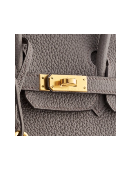 Hermes Birkin 25 Togo Gris Etain Gold Hardware,Hermes,BAGS