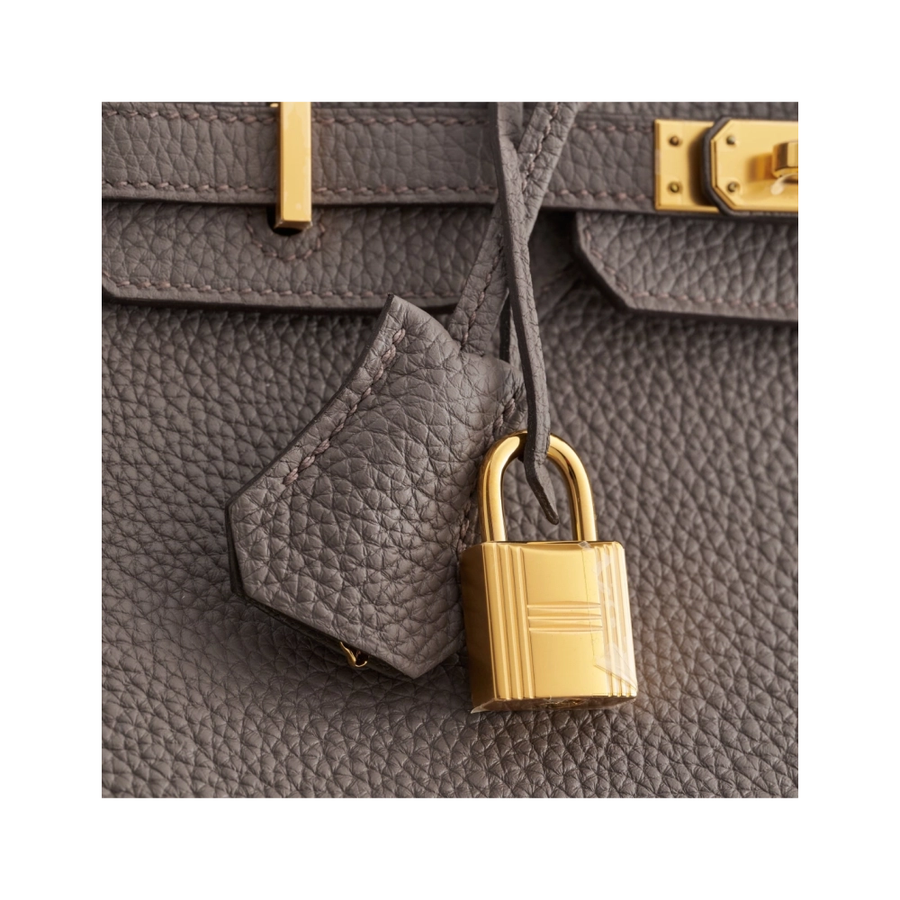 Hermes Birkin 25 Togo Gris Etain Gold Hardware,Hermes,BAGS