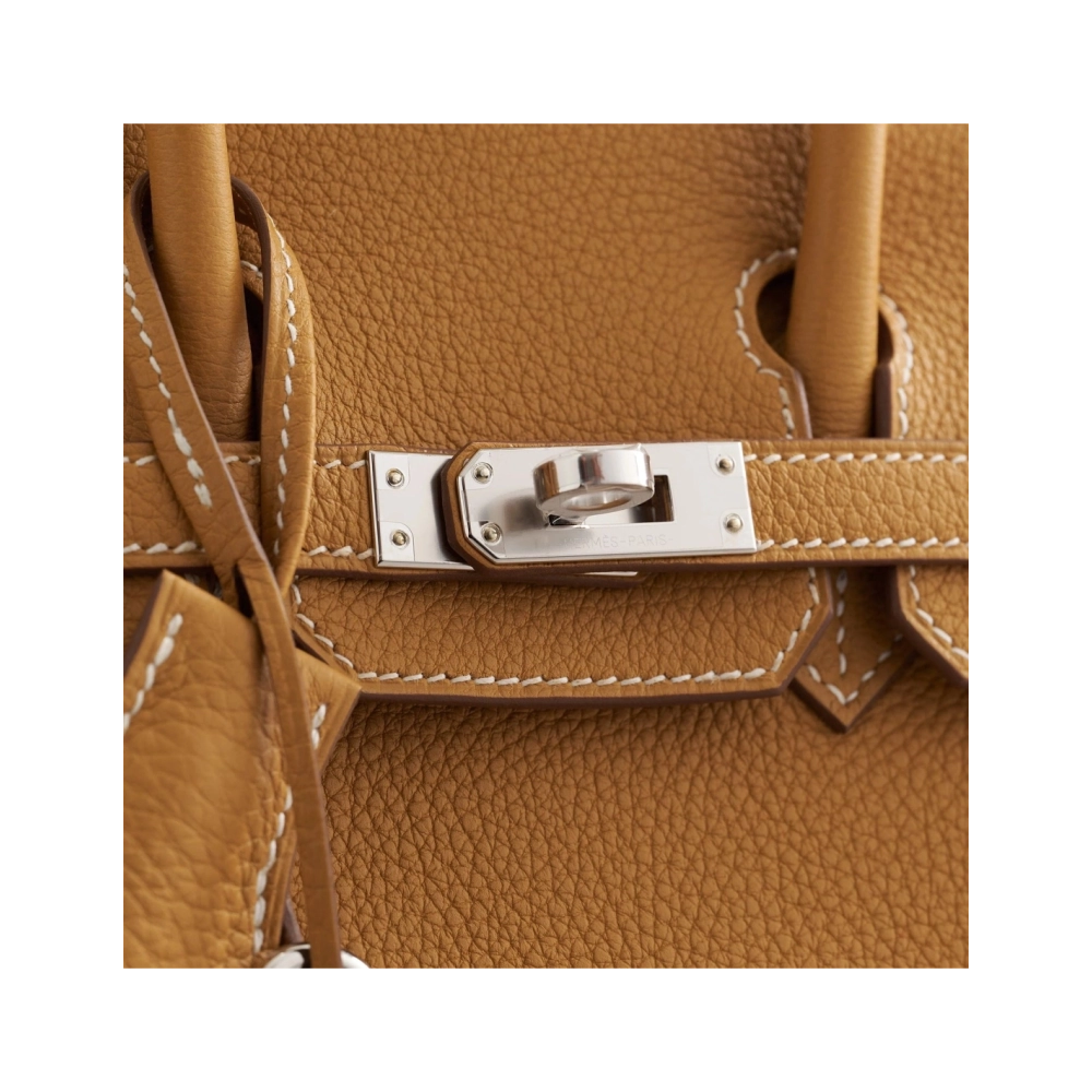 Hermes Birkin 25 Togo Natural Sable Palladium Hardware,Hermes,BAGS