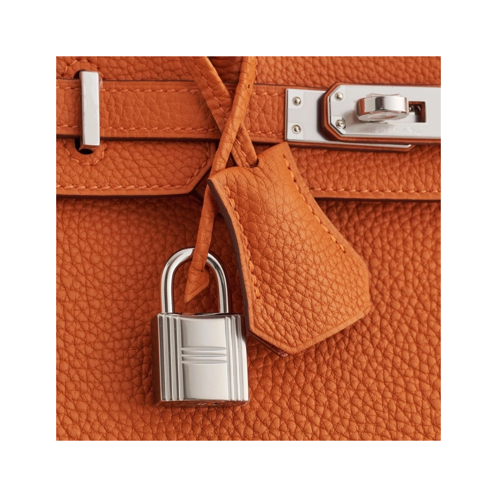 Hermes Birkin 25 Togo Orange Palladium Hardware,Hermes,BAGS