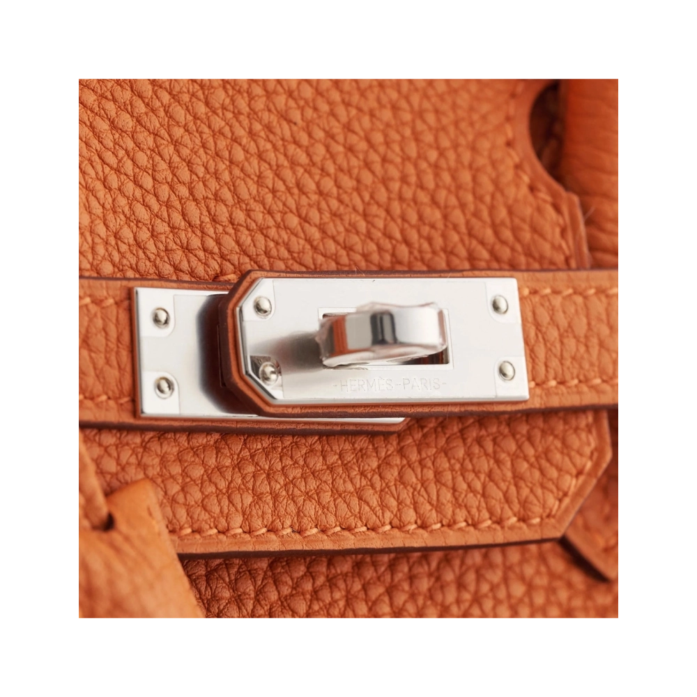 Hermes Birkin 25 Togo Orange Palladium Hardware,Hermes,BAGS