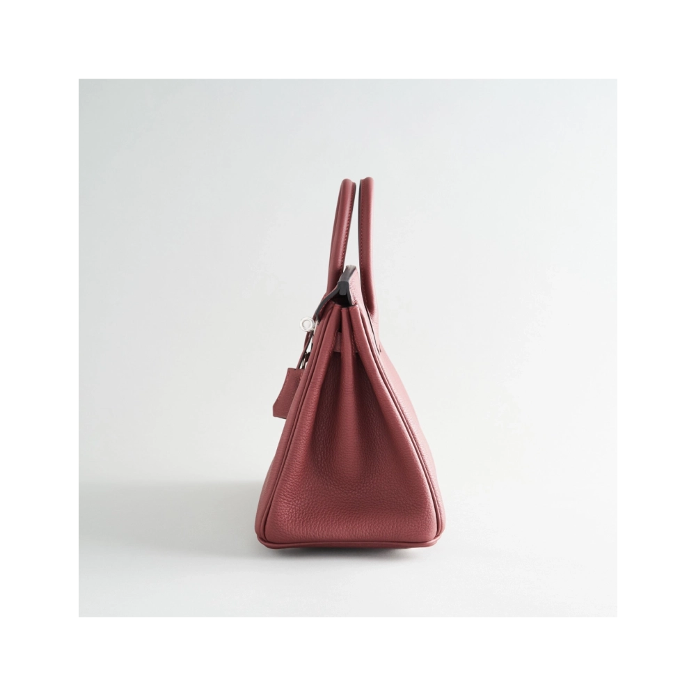 Hermes Birkin 25 Togo Rouge H Pallidum Hardware,Hermes,BAGS