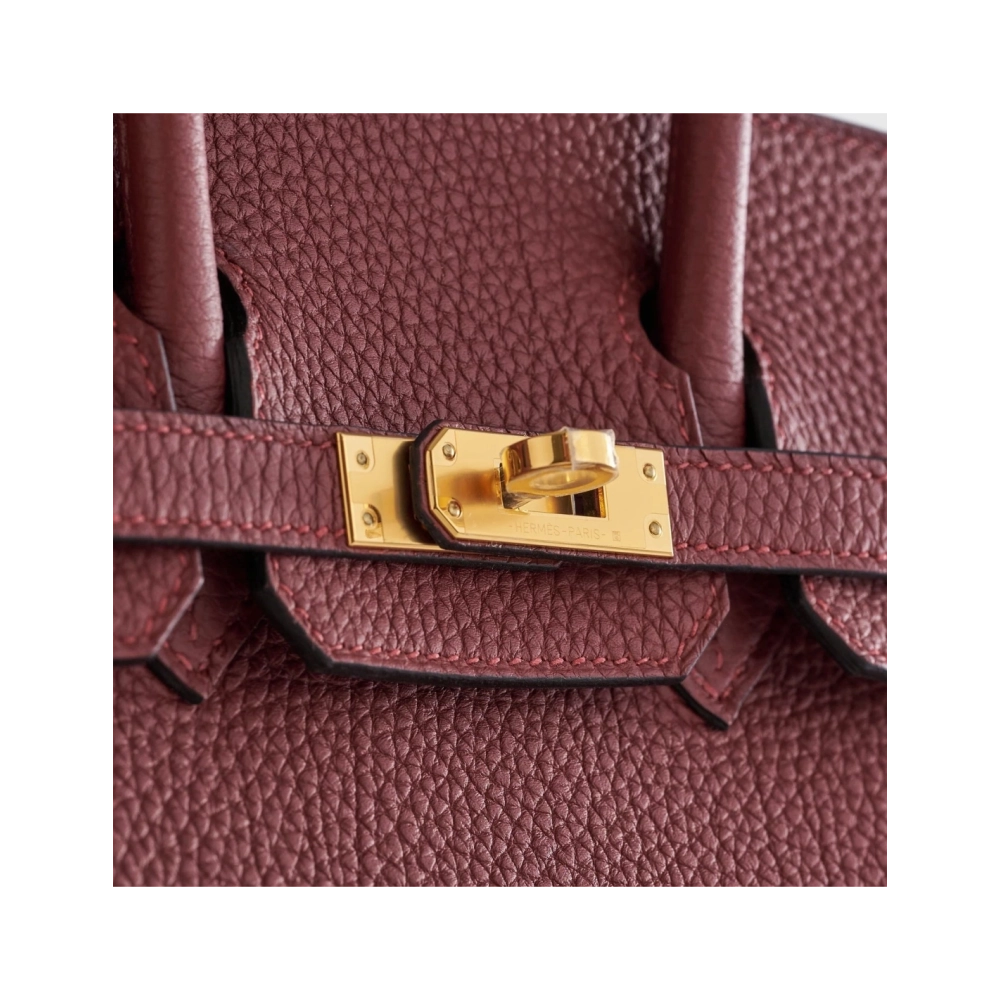 Hermes Birkin 25 Togo Rouge Sellier Retourne Gold Hardware,Hermes,BAGS