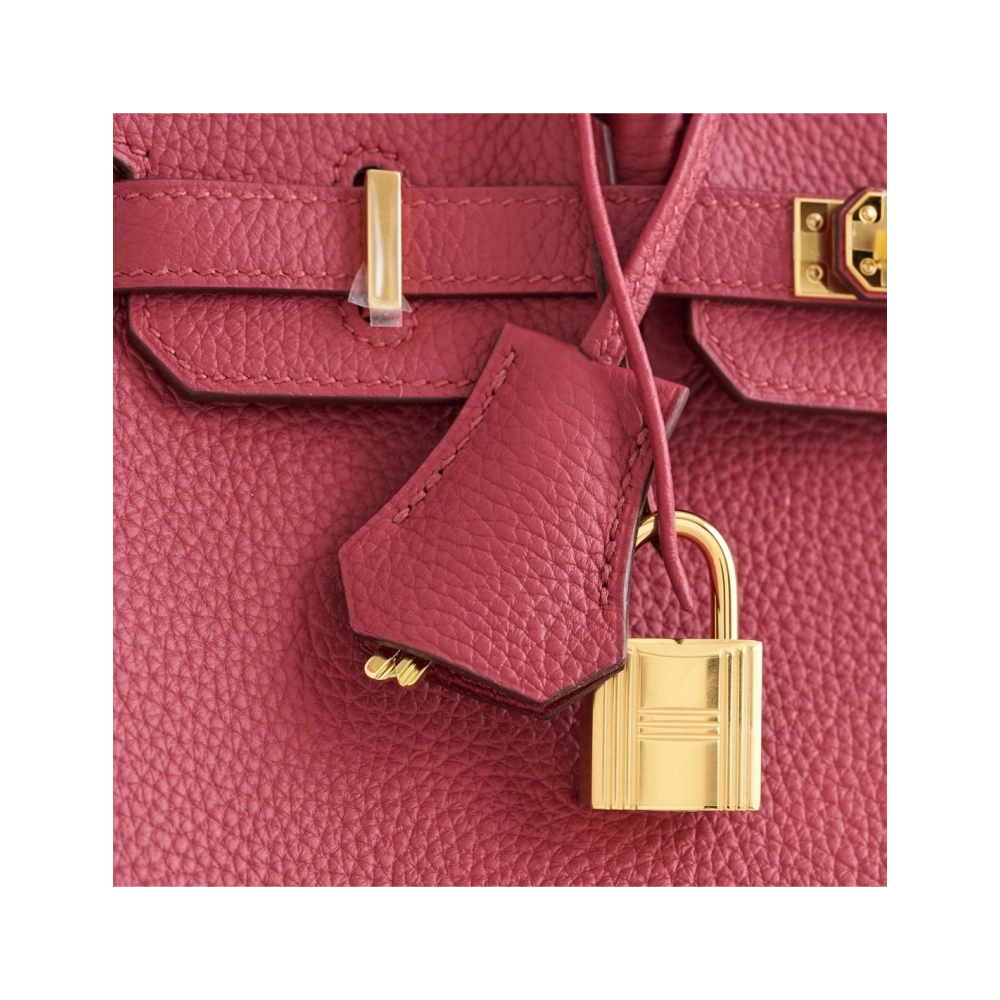 Hermes Birkin 25 Togo Rubis Gold Hardware,Hermes,BAGS