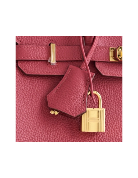 Hermes Birkin 25 Togo Rubis Gold Hardware,Hermes,BAGS