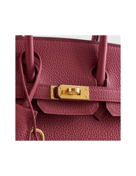 Hermes Birkin 25 Togo Rubis Gold Hardware,Hermes,BAGS