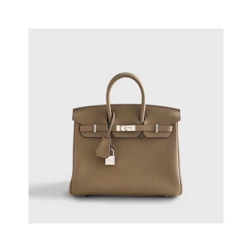 Hermes Birkin 25 Togo Toundra Palladium Hardware,Hermes,BAGS