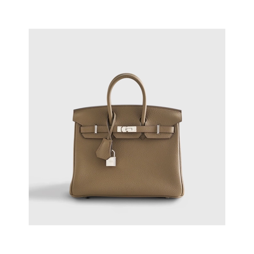 Hermes Birkin 25 Togo Toundra Palladium Hardware,Hermes,BAGS