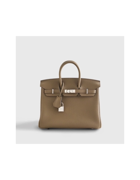 Hermes Birkin 25 Togo Toundra Palladium Hardware,Hermes,BAGS