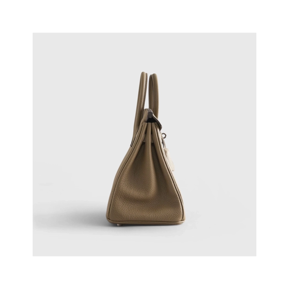 Hermes Birkin 25 Togo Toundra Palladium Hardware,Hermes,BAGS