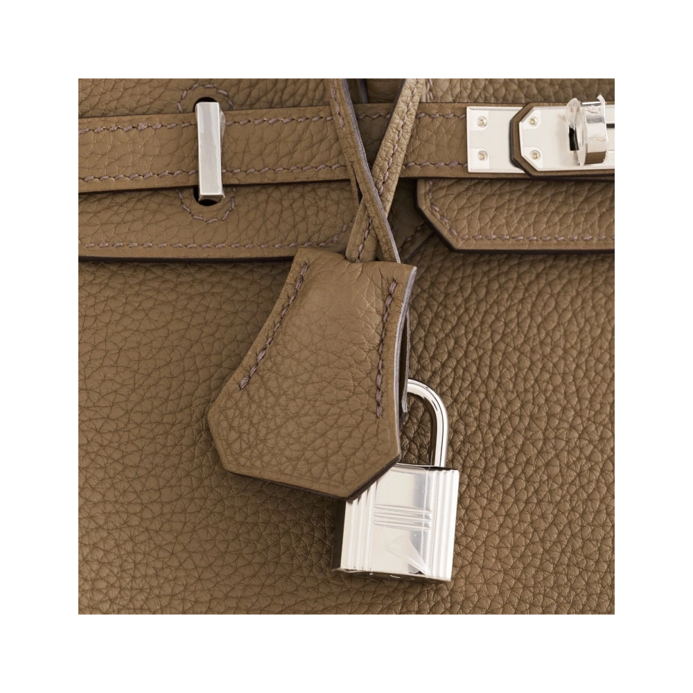 Hermes Birkin 25 Togo Toundra Palladium Hardware,Hermes,BAGS