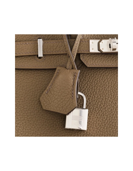 Hermes Birkin 25 Togo Toundra Palladium Hardware,Hermes,BAGS