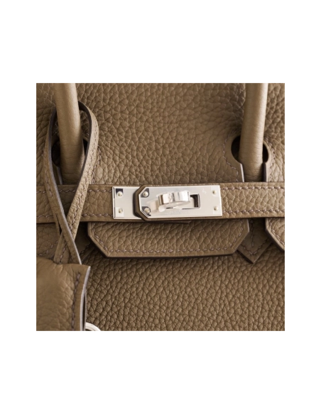 Hermes Birkin 25 Togo Toundra Palladium Hardware,Hermes,BAGS