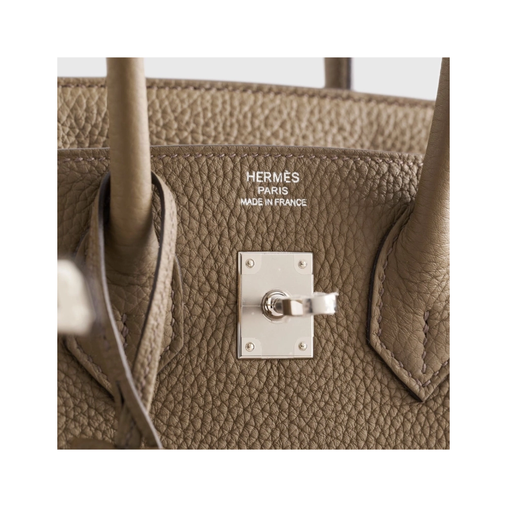 Hermes Birkin 25 Togo Toundra Palladium Hardware,Hermes,BAGS