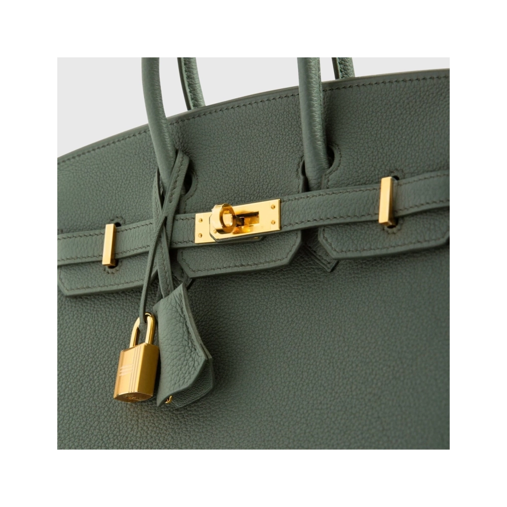 Hermes Birkin 25 Togo Vert Amande Gold Hardware Retourne,Hermes,BAGS