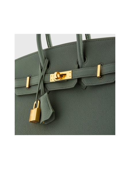 Hermes Birkin 25 Togo Vert Amande Gold Hardware Retourne,Hermes,BAGS