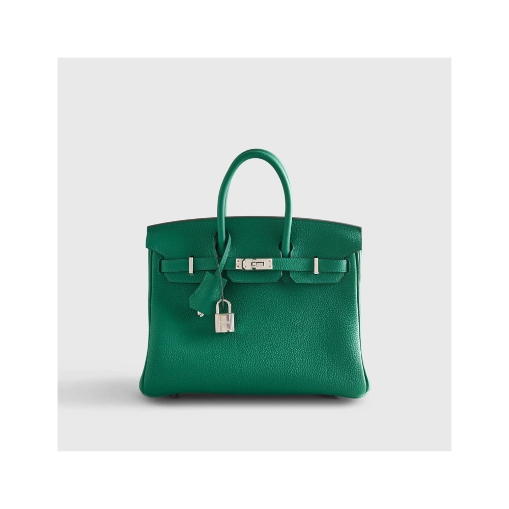 Hermes Birkin 25 Togo Vert Vertigo Palladium Hardware,Hermes,BAGS
