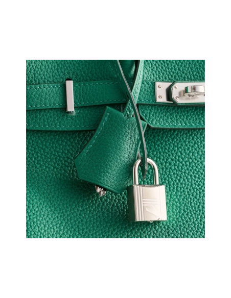 Hermes Birkin 25 Togo Vert Vertigo Palladium Hardware,Hermes,BAGS