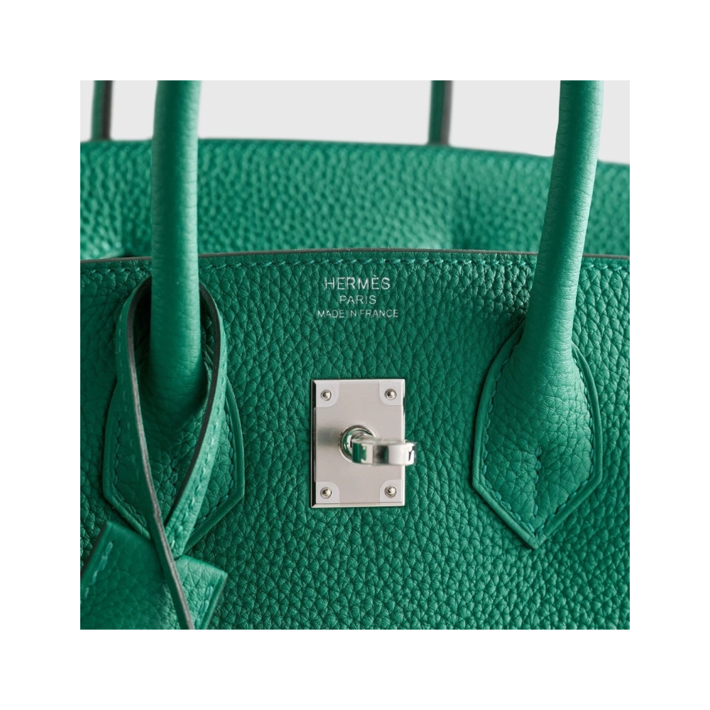 Hermes Birkin 25 Togo Vert Vertigo Palladium Hardware,Hermes,BAGS
