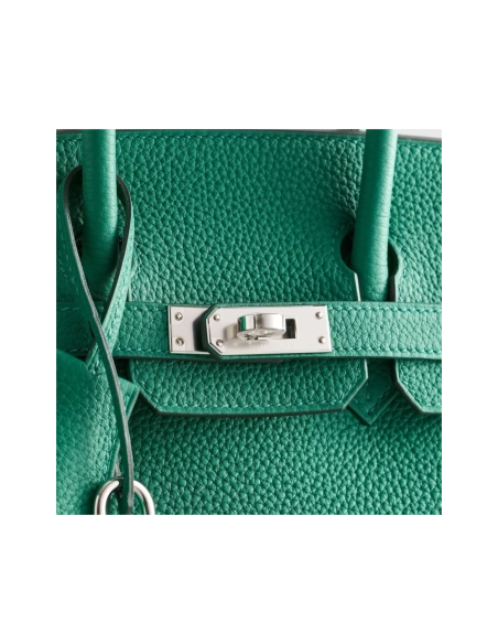 Hermes Birkin 25 Togo Vert Vertigo Palladium Hardware,Hermes,BAGS