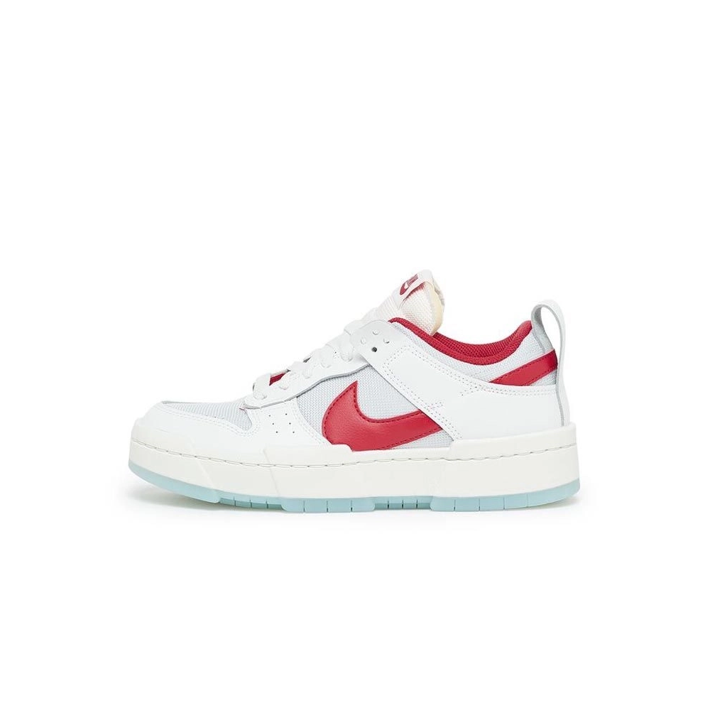 SB DUNK LOW,SB DUNK,NIKE SHOES,CK6654-101