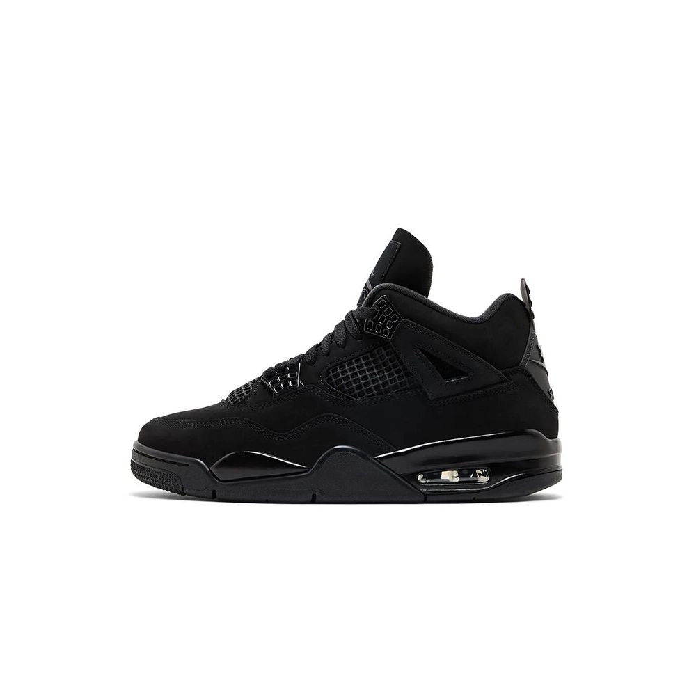 Air Jordan 4,Best quality and fast shipping,FV5029-010