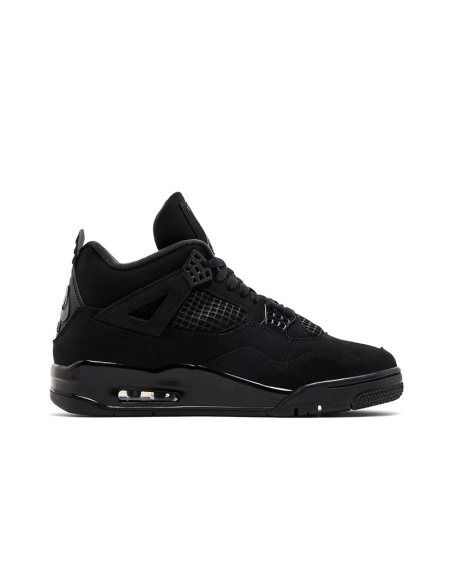 Air Jordan 4,Best quality and fast shipping,FV5029-010