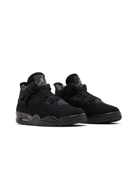 Air Jordan 4,Best quality and fast shipping,FV5029-010