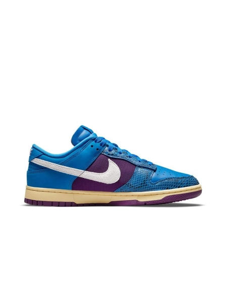 SB DUNK LOW,SB DUNK,NIKE SHOES,DH6508-400