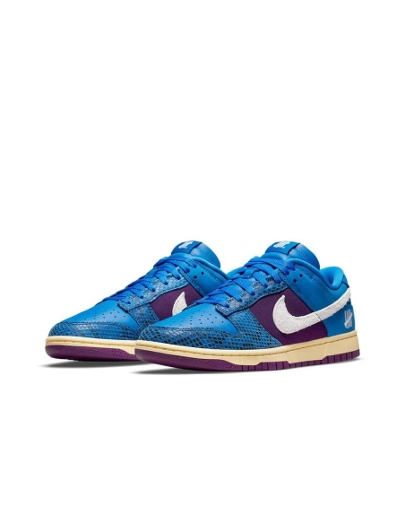 SB DUNK LOW,SB DUNK,NIKE SHOES,DH6508-400