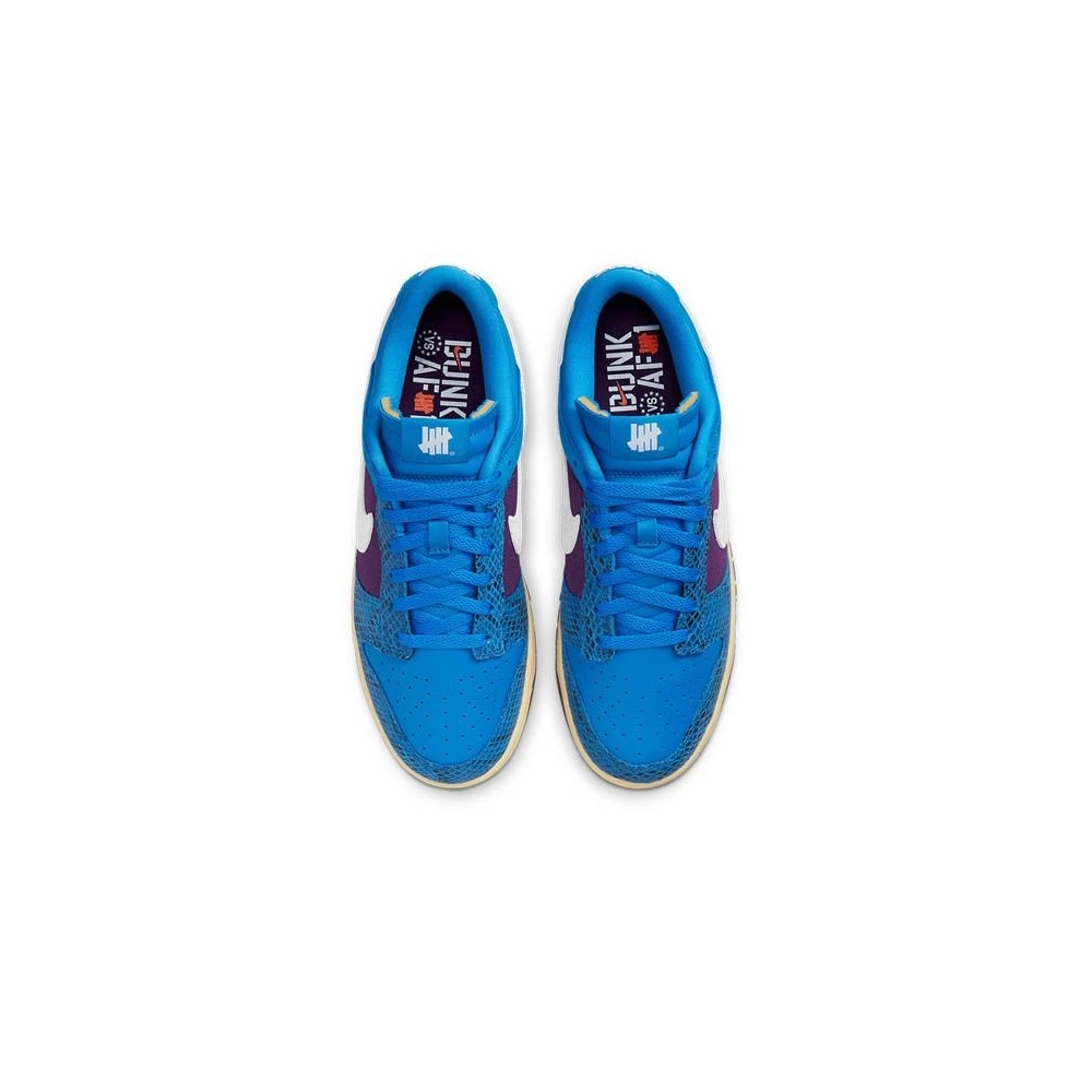 SB DUNK LOW,SB DUNK,NIKE SHOES,DH6508-400